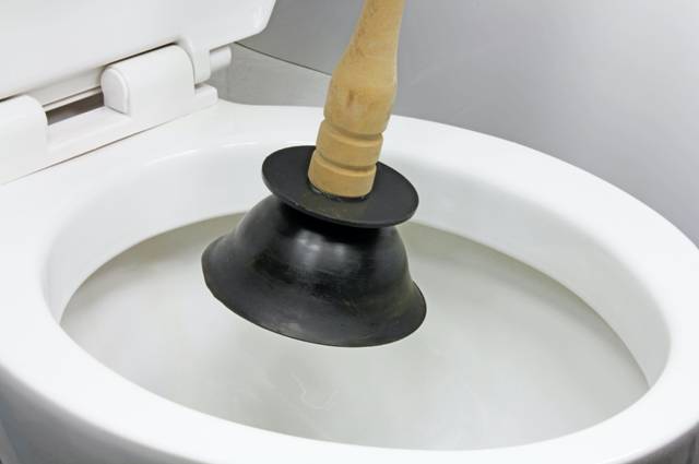 Plunger inside toilet attempting a toilet repair 